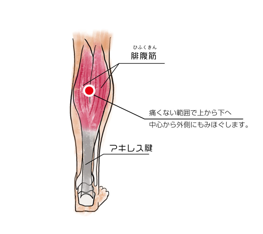 お子さんのふくらはぎのマッサージ 東京リハビリ整形外科クリニック おおた